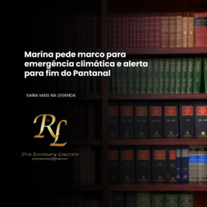 Leia mais sobre o artigo Marina pede marco para emergência climática e alerta para fim do Pantanal